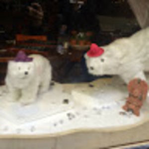 Meet your Posher, Zoe